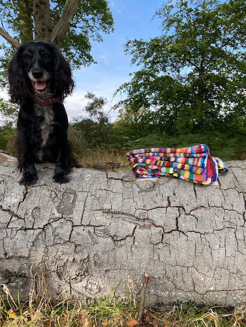 Scrappy Blanket III crochet pattern